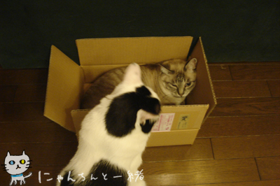 e0031853_1123137.jpg