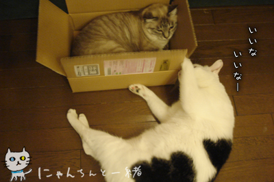 e0031853_113551.jpg