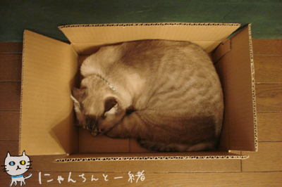 e0031853_116439.jpg