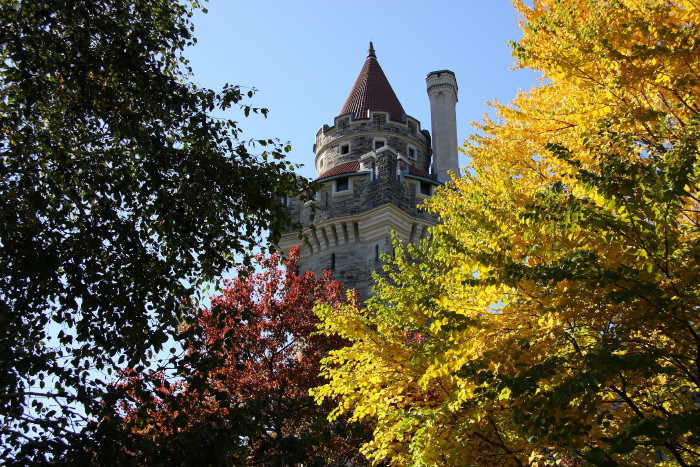 c0112158_310537.jpg