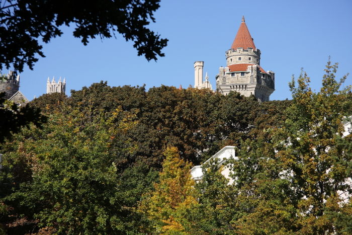 c0112158_3121548.jpg