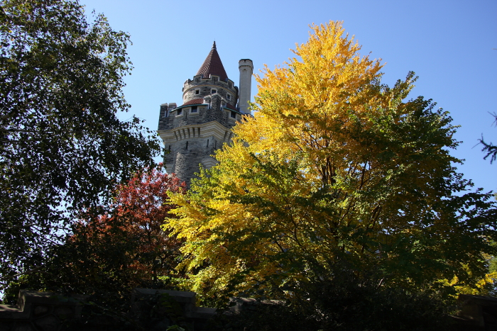 c0112158_3141184.jpg