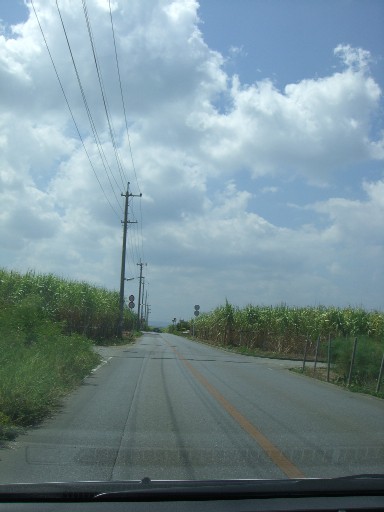 f0110663_2317895.jpg