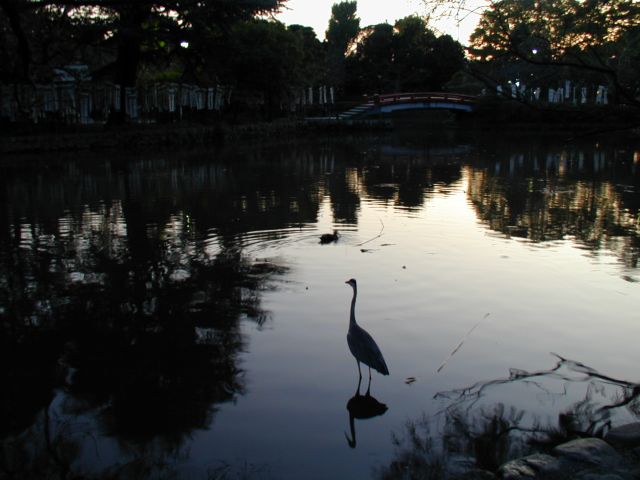 b0141664_0182572.jpg