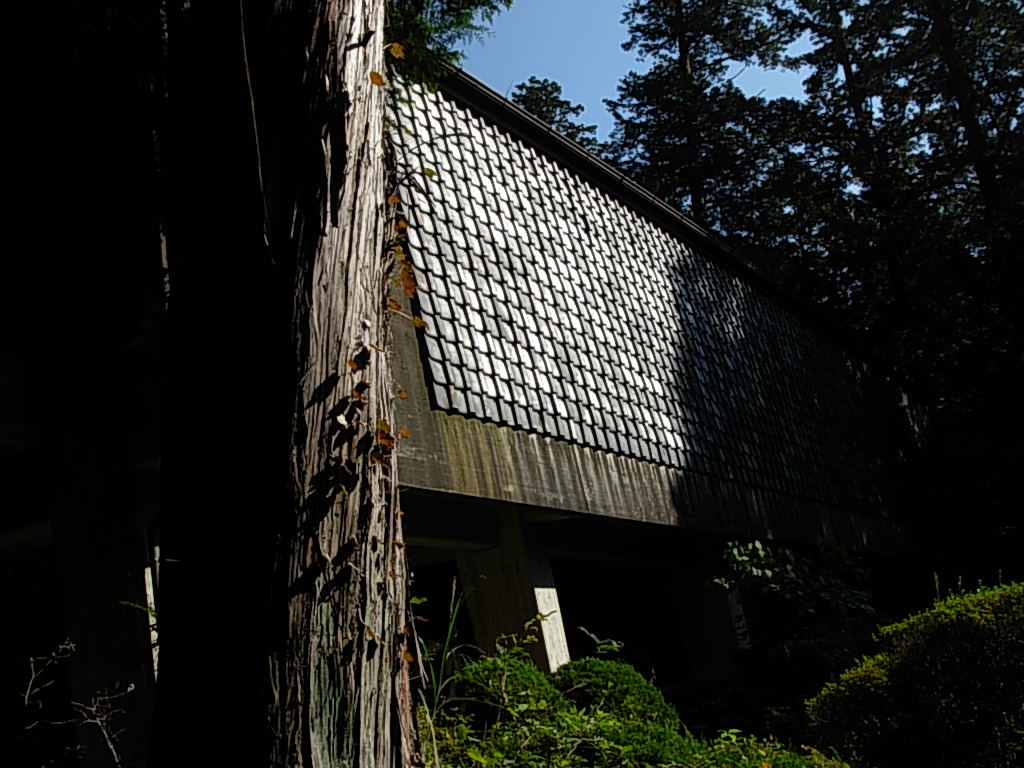 d0048366_173149100.jpg