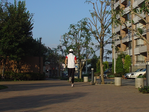 f0166066_10395676.jpg