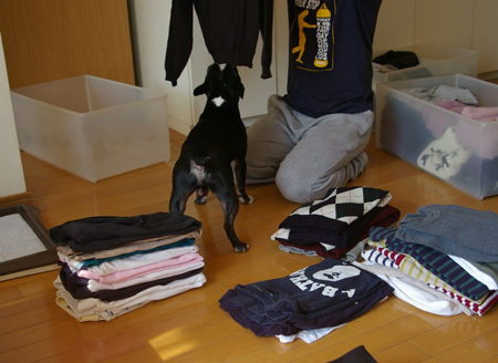 c0032567_13204751.jpg