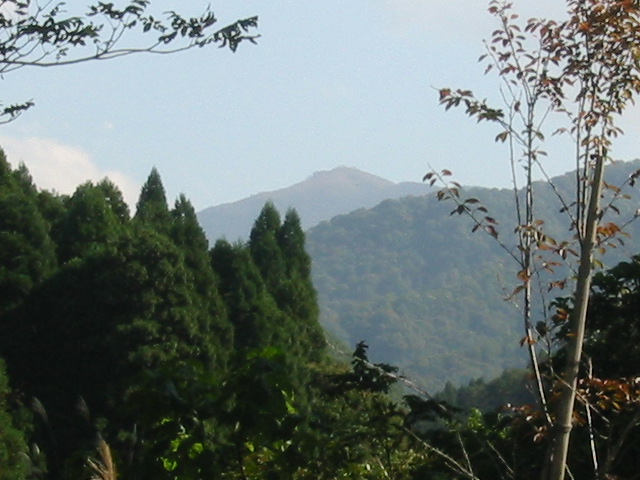 d0094868_17474842.jpg