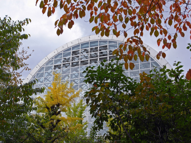 e0100772_2248062.jpg