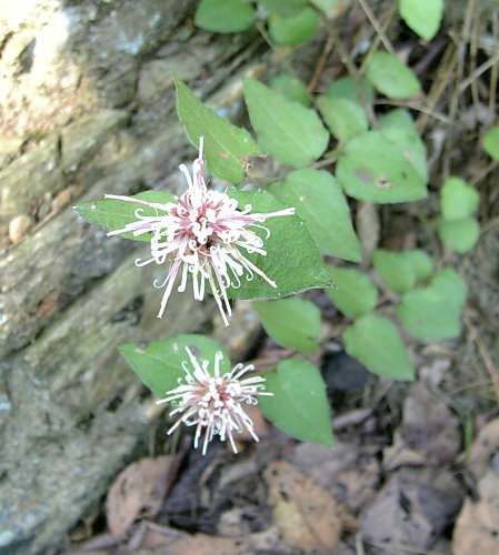 f0181173_1191642.jpg