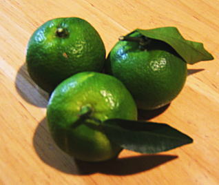 f0145575_13503156.jpg
