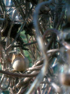 f0100480_16131615.jpg