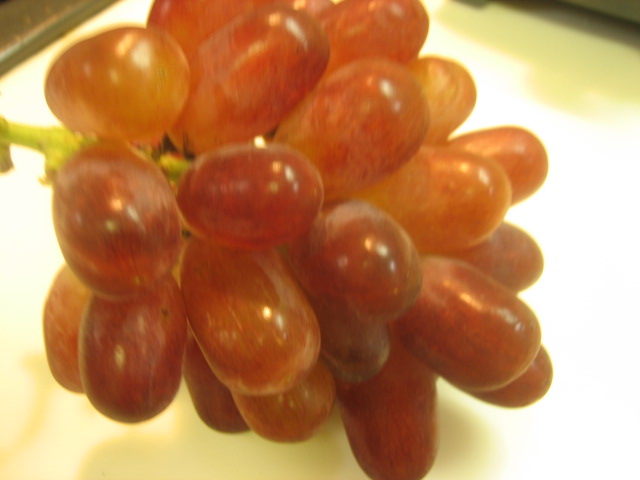 a0052486_22144318.jpg