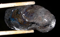 c0018489_0315399.jpg