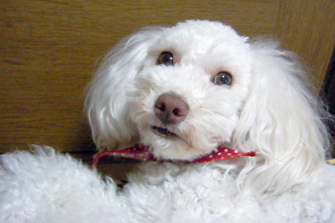 b0104592_23325773.jpg