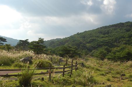 b0048998_0555475.jpg