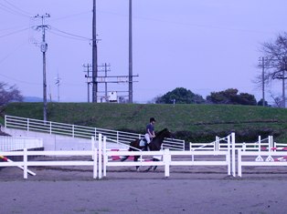 b0126098_21314845.jpg