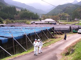 b0126098_2210261.jpg