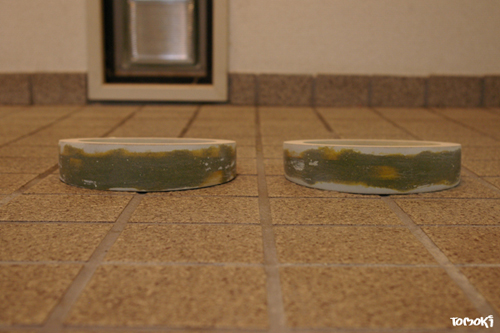 f0170499_2224956.jpg