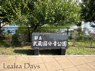 b0000801_9415863.jpg