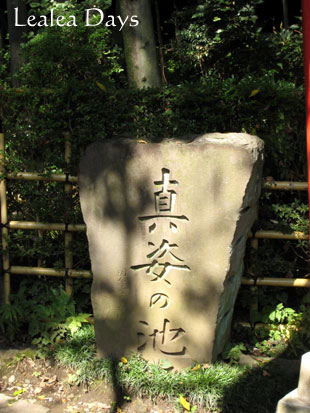 b0000801_9451814.jpg