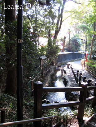 b0000801_94544.jpg
