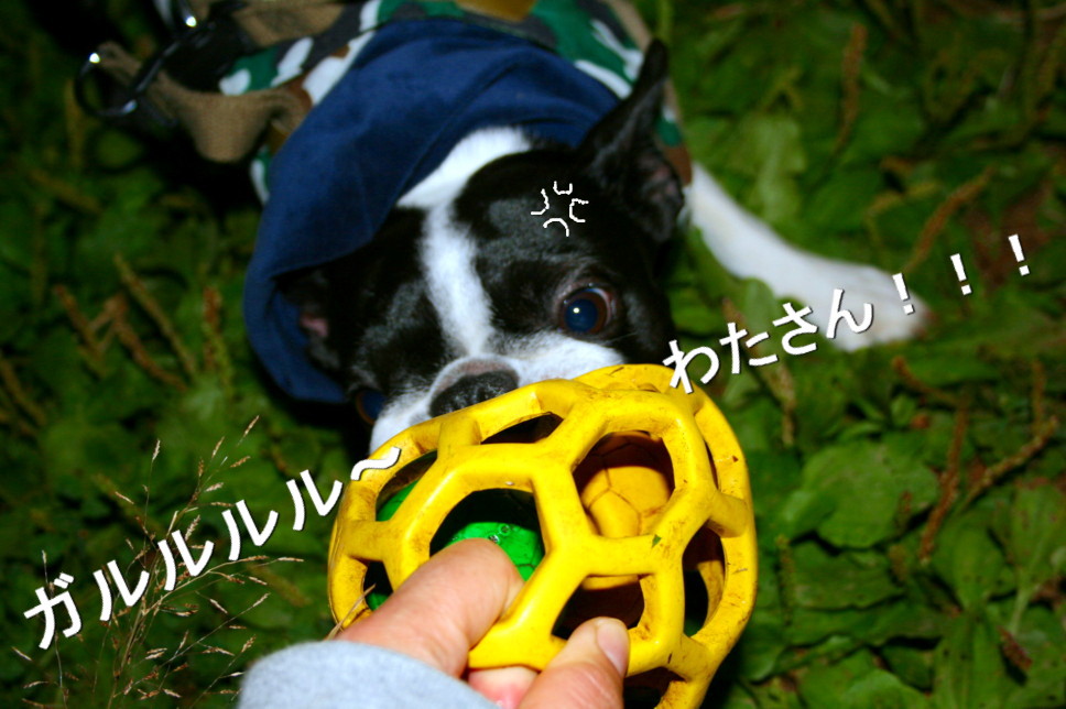 d0070702_2121868.jpg