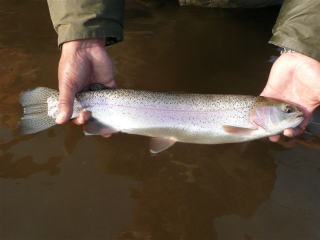 d0126708_6335385.jpg