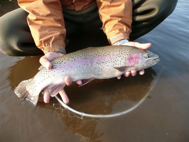 d0126708_6362937.jpg