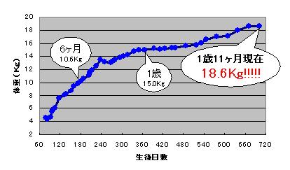 c0113109_22564393.jpg