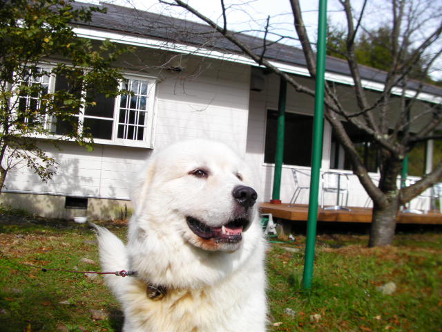 b0120217_21382929.jpg