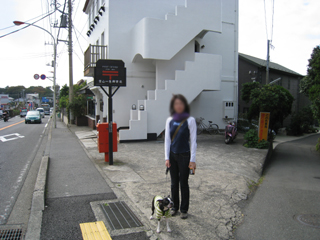 e0080117_083621.jpg