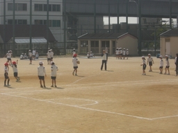f0132619_15342196.jpg
