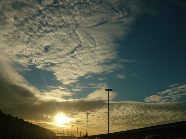 b0146123_1954426.jpg