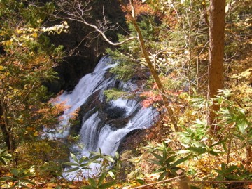 f0128723_025286.jpg