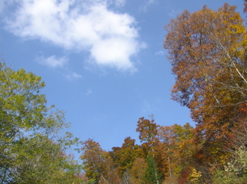 f0128723_045735.jpg