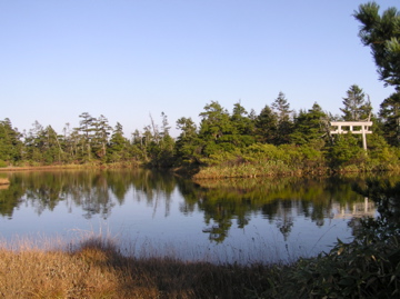 f0128723_05153.jpg