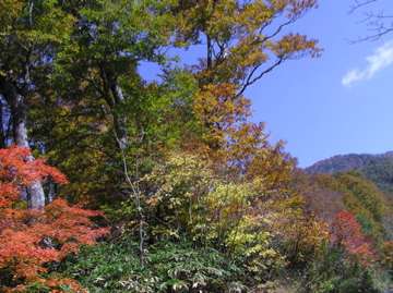 f0128723_2359977.jpg