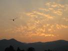 b0023824_3382090.jpg