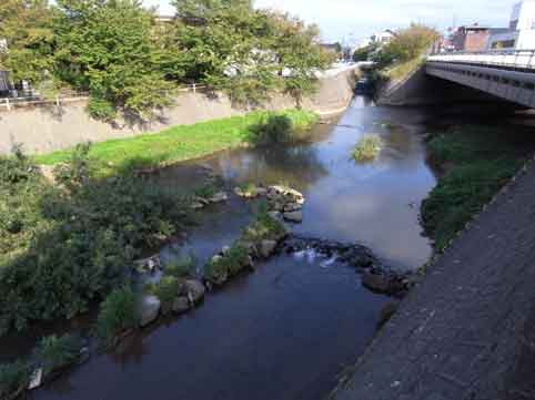 c0098228_2128595.jpg