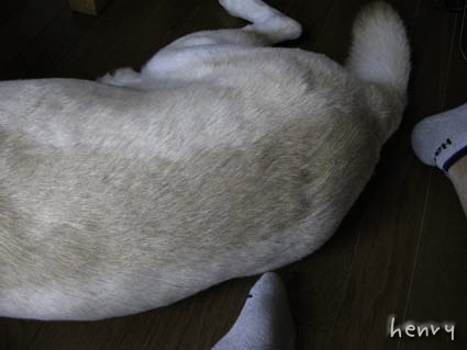 d0109728_0354277.jpg