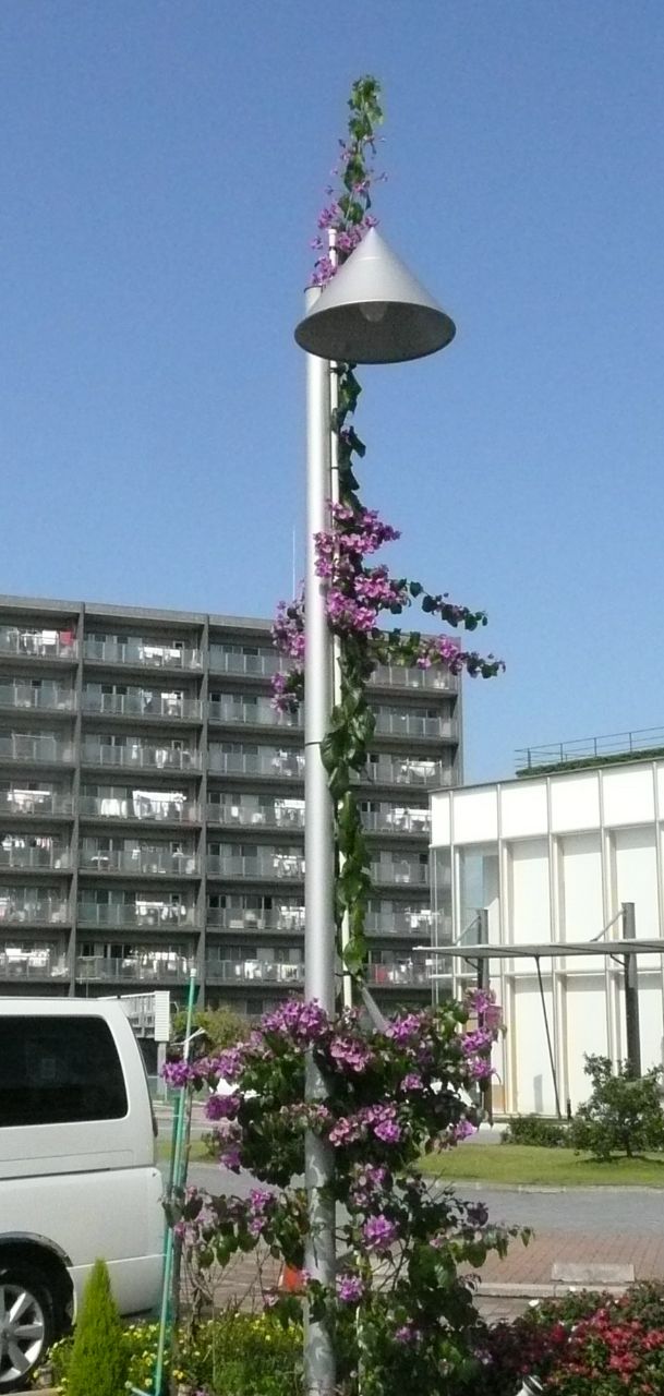 e0033229_21543637.jpg