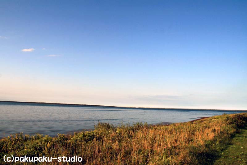 a0100137_2241867.jpg