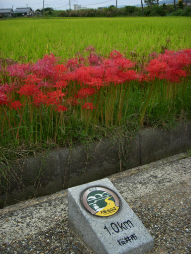 c0032138_2137386.jpg