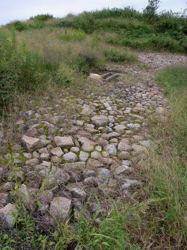 c0032138_21394157.jpg