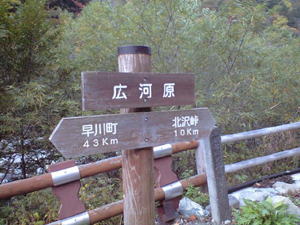 d0107938_239554.jpg