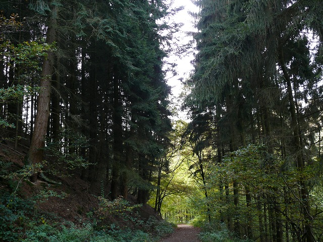 c0153740_4153453.jpg
