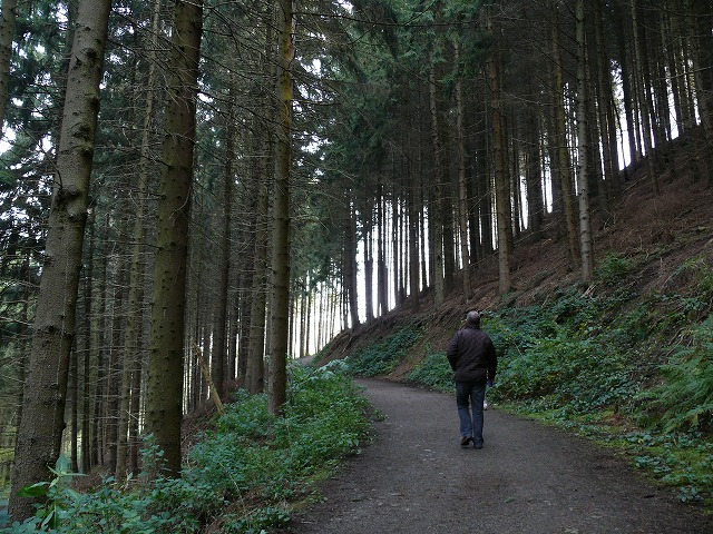 c0153740_41664.jpg