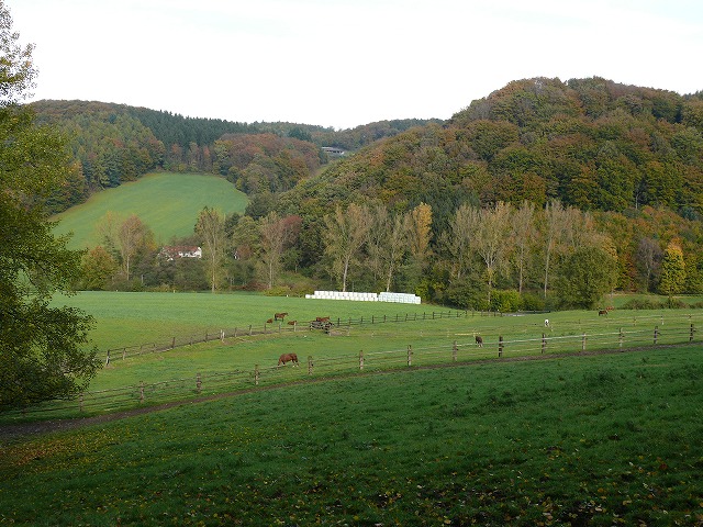 c0153740_4474193.jpg