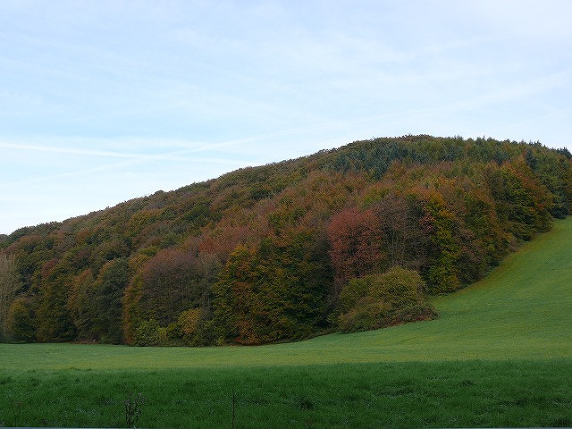 c0153740_484279.jpg
